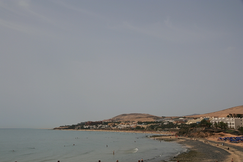 Kanary_2010 013